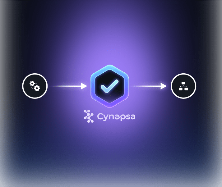 Cynapsa securely connecting systems to networks
